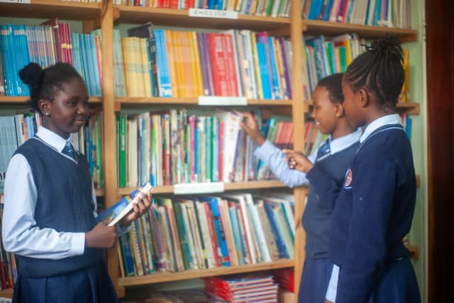 Primary School Activity 13