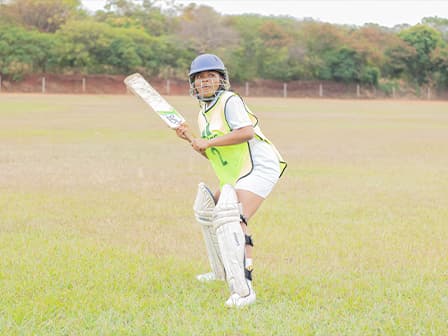 Cricket