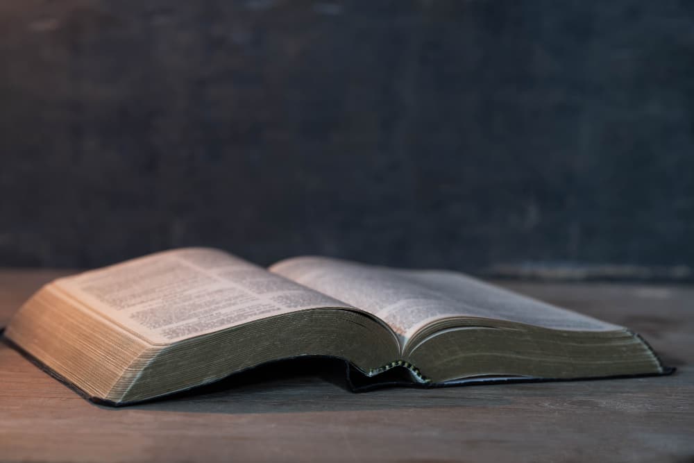 Biblical Studies